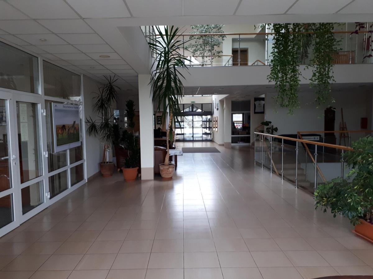 Pan Dom Pracy Tworczej W Wierzbie Wierzba Εξωτερικό φωτογραφία